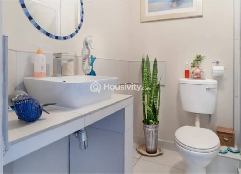 Shraddha Classic Image 7