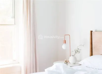 Shraddha Classic Image 6