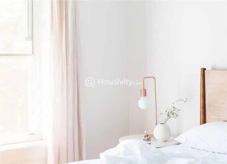 Shraddha Classic Image 6