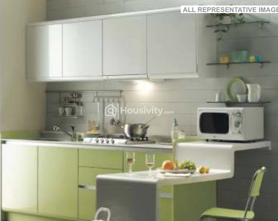 Shraddha Classic Image 3