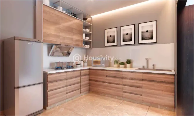 Rachana Bellacasa Image 2