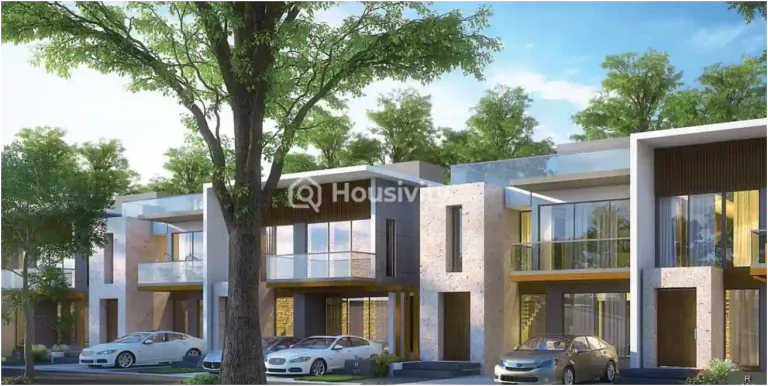 Pharande Vaarivana Thumbnail