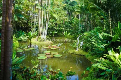 Kohinoor Satori Image 7