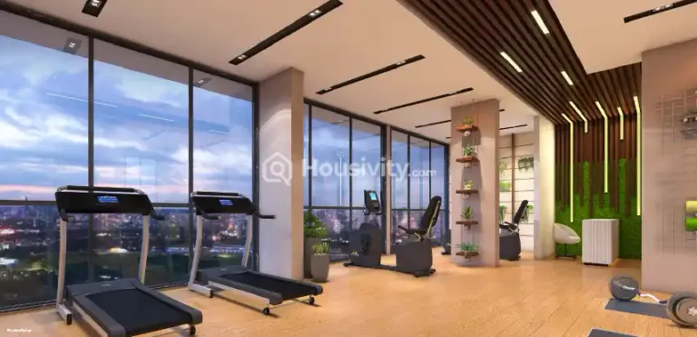 Romell Orbis Image 5