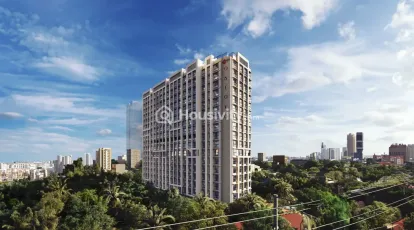 Romell Asrava Image 1