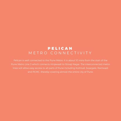 Skyi Pelican Brochure Image 16