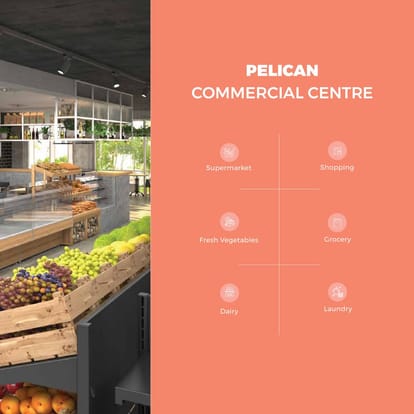 Skyi Pelican Brochure Image 51