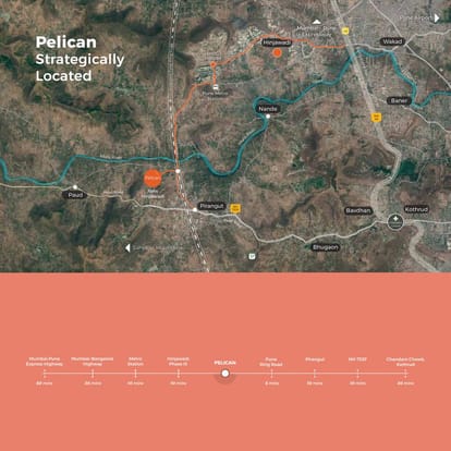 Skyi Pelican Brochure Image 15