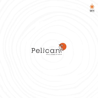 Skyi Pelican Brochure Image 1