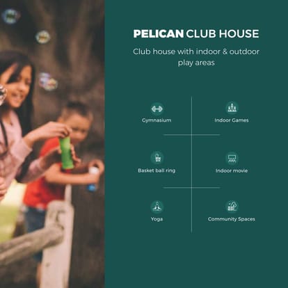 Skyi Pelican Brochure Image 47
