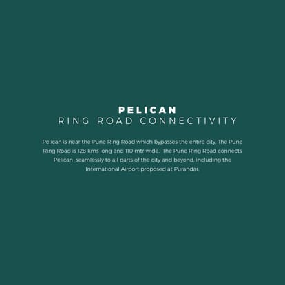 Skyi Pelican Brochure Image 18