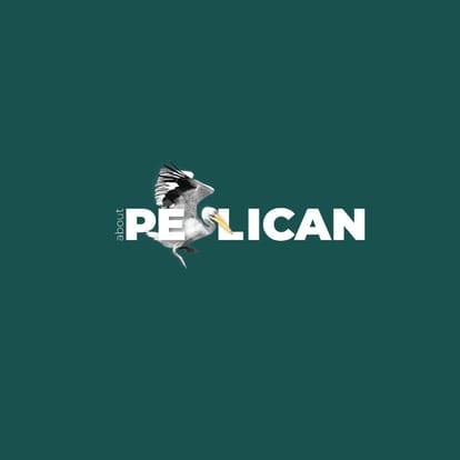 Skyi Pelican Brochure Image 9