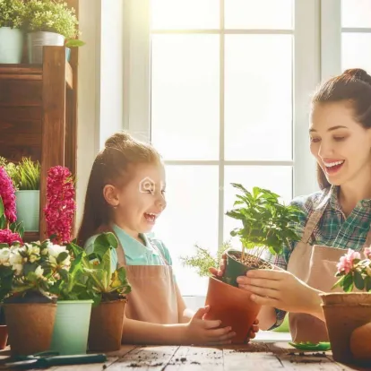 Skyi Pelican Image 10