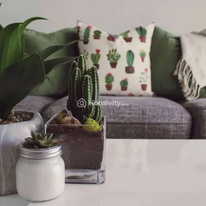 Skyi Pelican Image 7