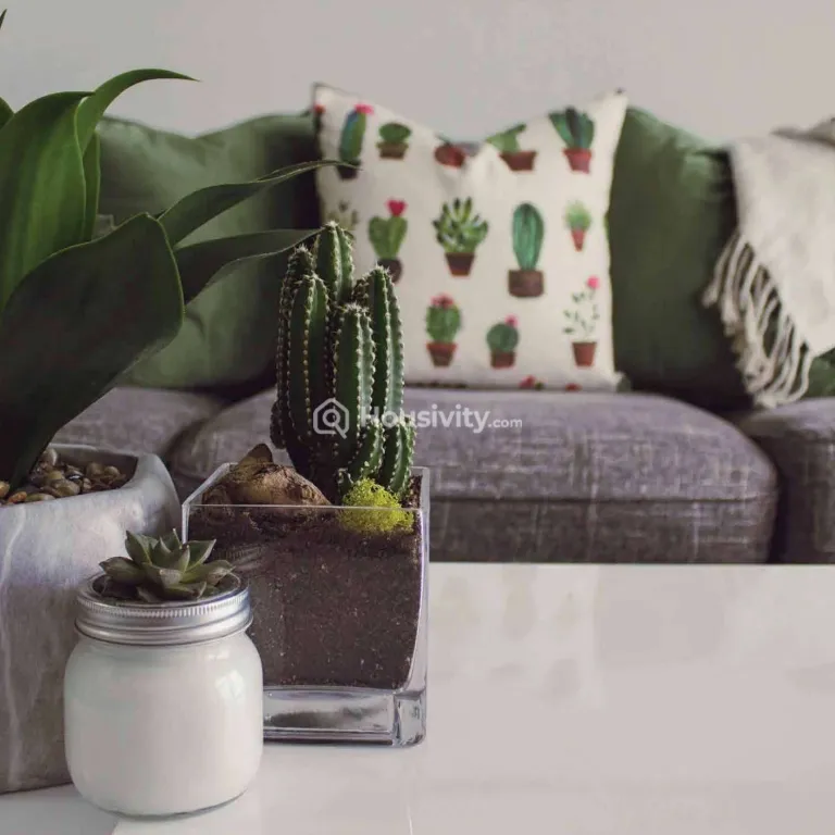 Skyi Pelican Image 7