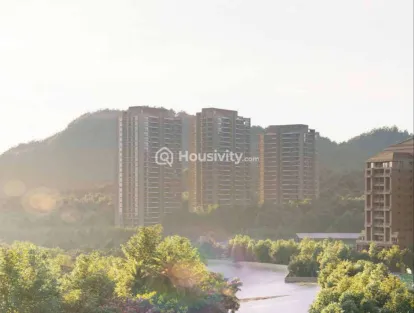 Skyi Songbirds Image 12