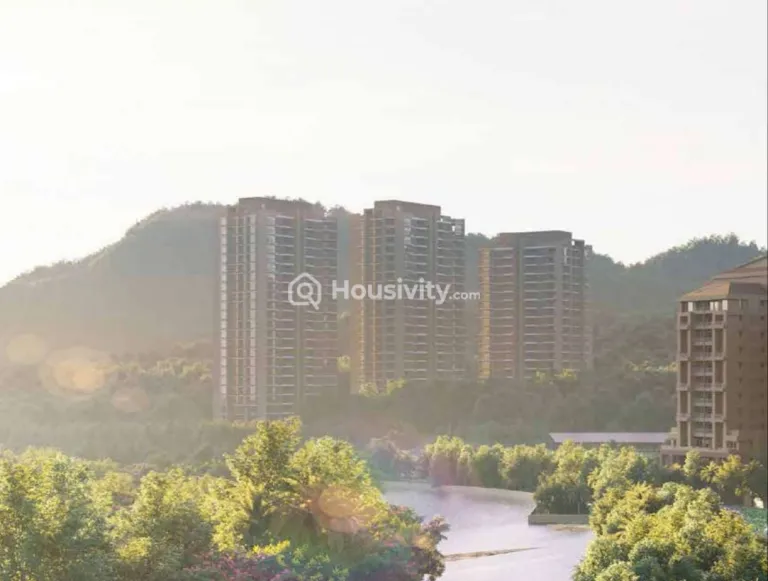 Skyi Songbirds Image 12