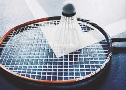 Skyi Songbirds Image 7