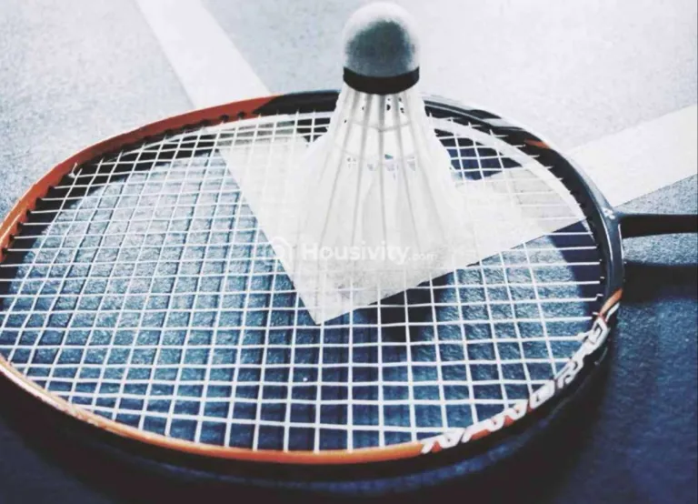 Skyi Songbirds Image 7