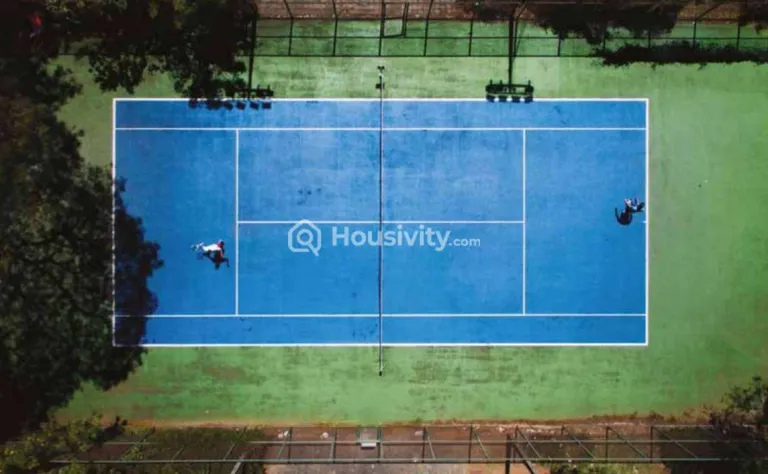 Skyi Songbirds Image 8