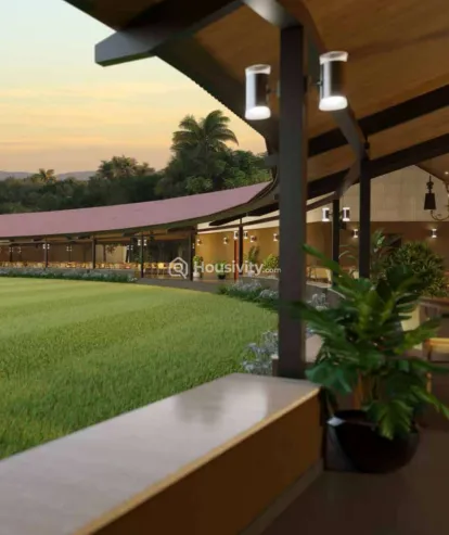 Skyi Songbirds Image 10