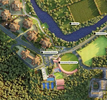 Skyi Songbirds Image 13