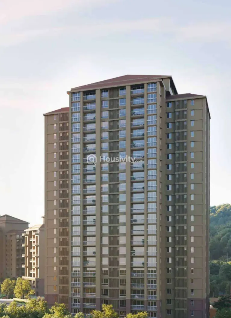 Skyi Songbirds Image 2