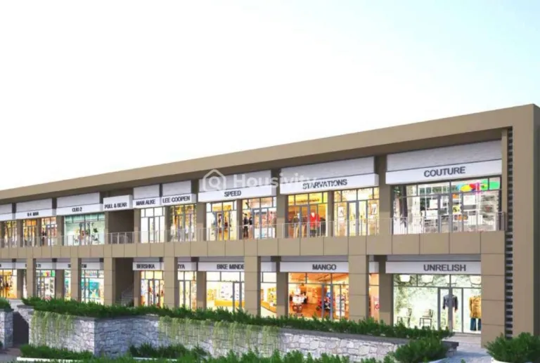 Skyi Songbirds Image 3