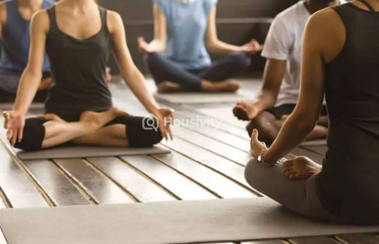 Skyi Songbirds Image 6