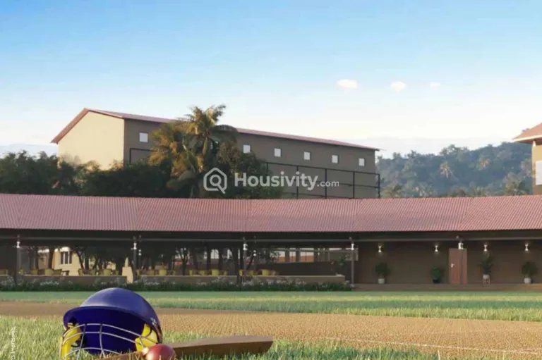 Skyi Songbirds Image 9