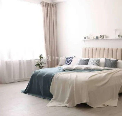 Skyi Songbirds Image 5