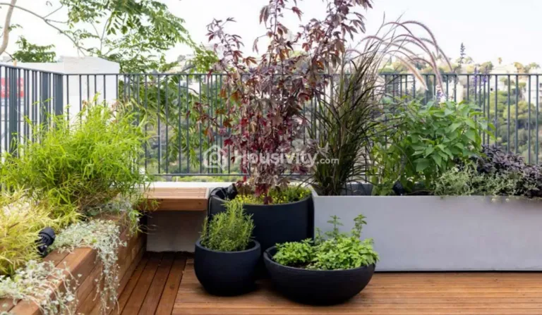 Skyi Iris Racecourse Image 8