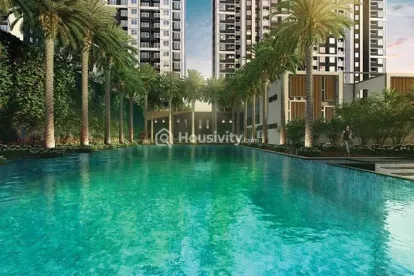 Universe - Life Republic Image 8