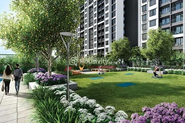 Universe - Life Republic Image 5