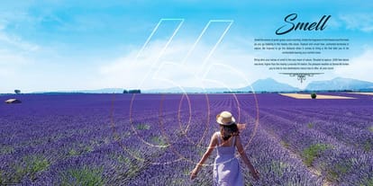 Tata Sense 66 Brochure Image 5