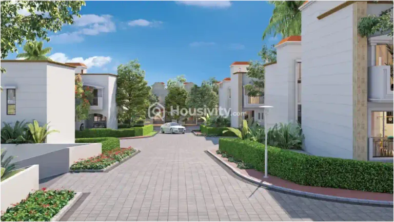 Tata Sense 66 Image 3