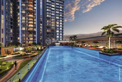 Goodwill Wisteria Image 5