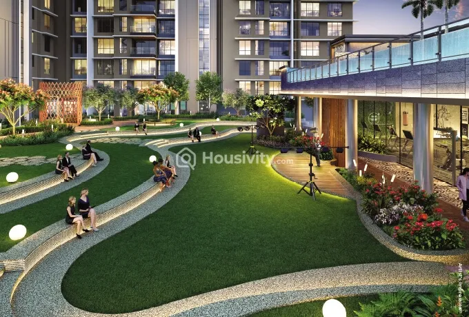 Goodwill Wisteria Image 6