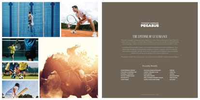 VTP Velvet Villas Brochure Image 36