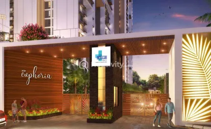 VTP Euphoria - Pegasus Image 1