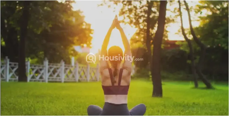 VTP Monarque Image 6