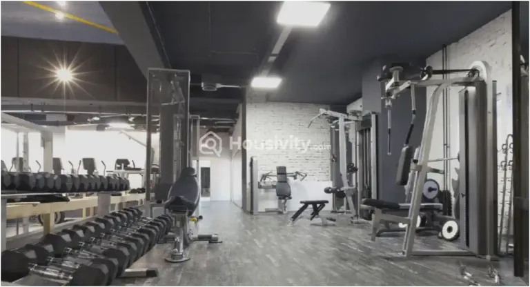 VTP Monarque Image 2