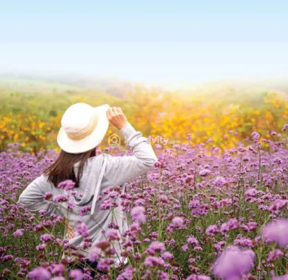 Godrej Green Vistas Image 6