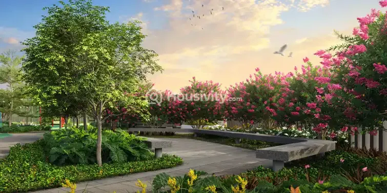 Green Terraces Image 2