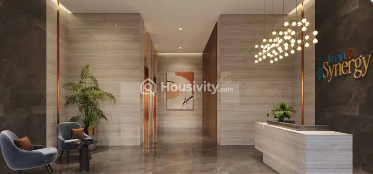 Veena Synergy Image 6