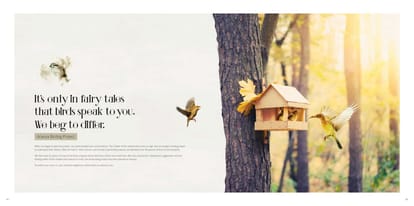 Tridhaatu Aranya A Dream Brochure Image 24