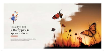 Tridhaatu Aranya A Dream Brochure Image 25