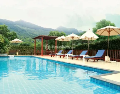 Tridhaatu Aranya A Dream Image 3