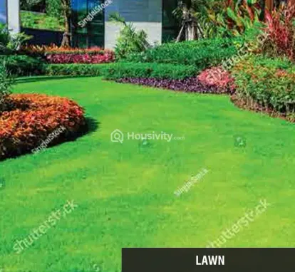 NMS 17 West Image 10