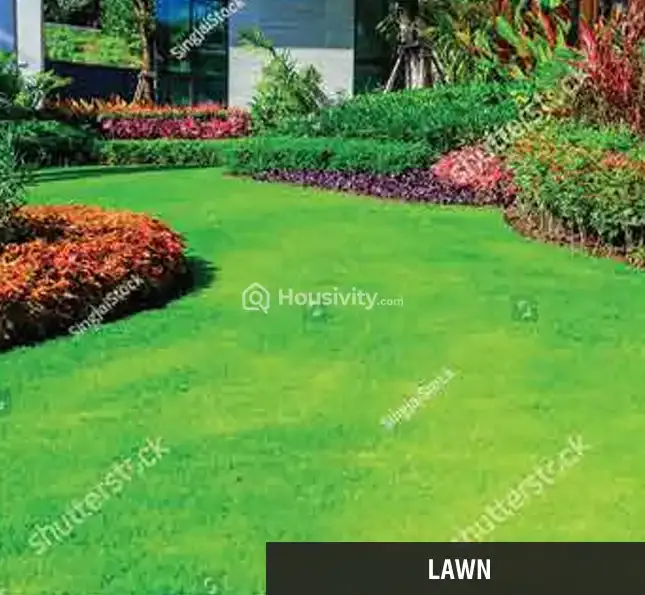 NMS 17 West Image 10